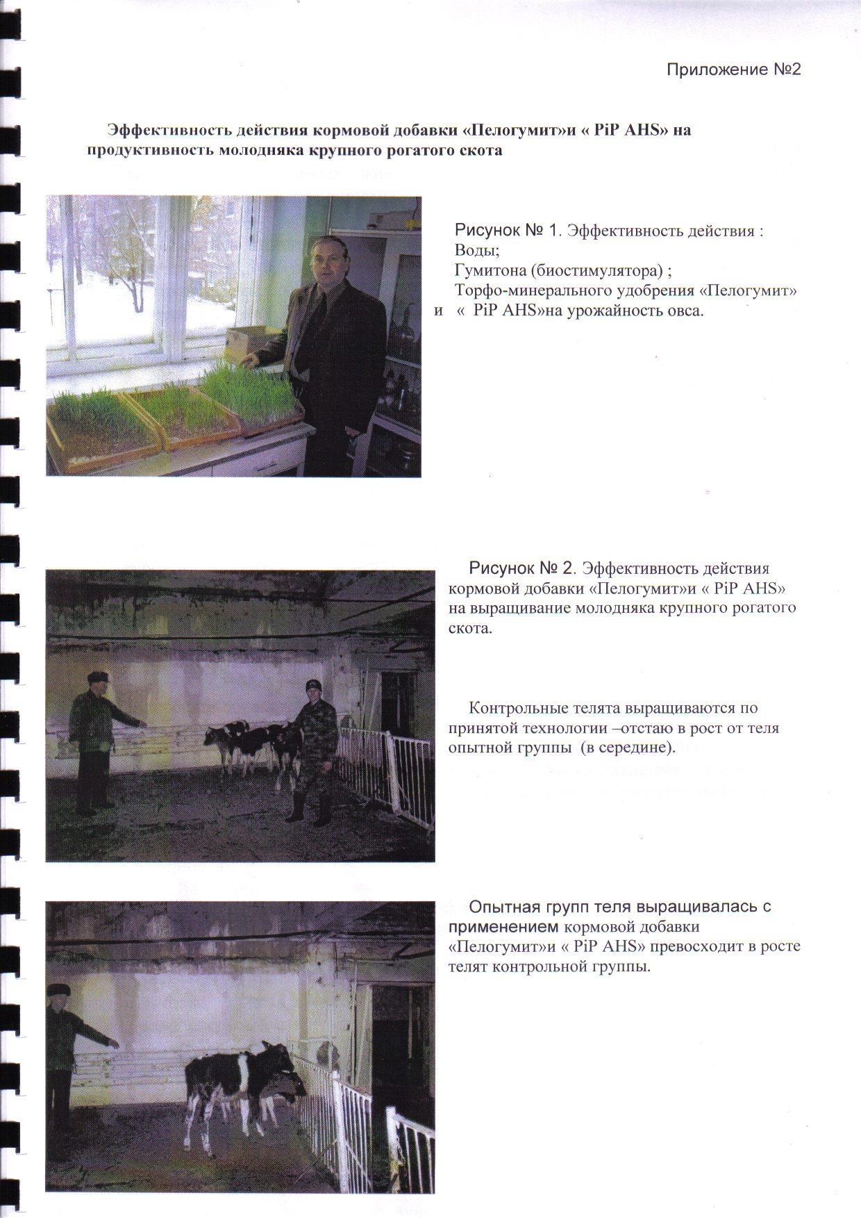 огород 2